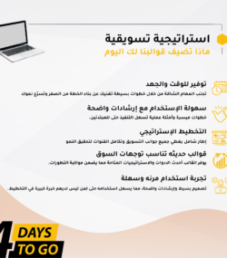 تحليل السوق لاستراتيجية التسويق المخصصة للشركات المتوسطة لتعزيز التنافسية.